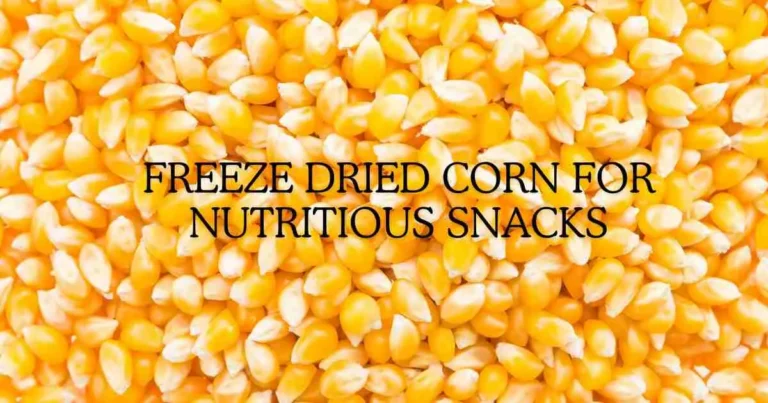 Premium Freeze Dried Corn for Nutritious Snacks