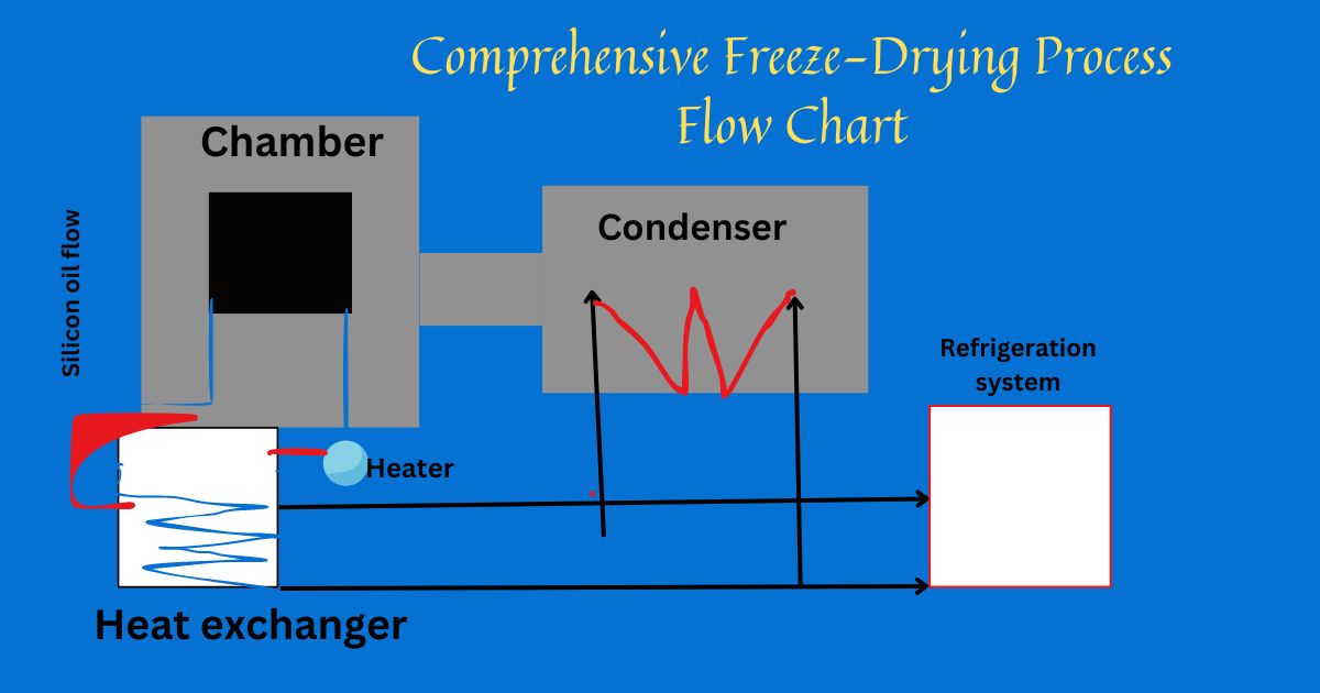 Comprehensive Freeze Drying Process Flow Chart