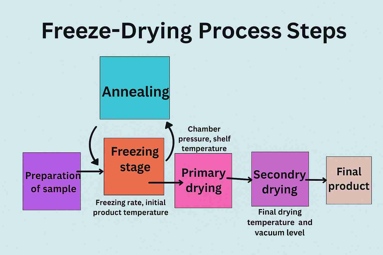Freeze Drying Process Steps" showing a flowchart with stages: Preparation of Sample, Freezing Stage, Annealing, Primary Drying, Secondary Drying, and Final Product, with arrows indicating the sequence and labeled process parameters.