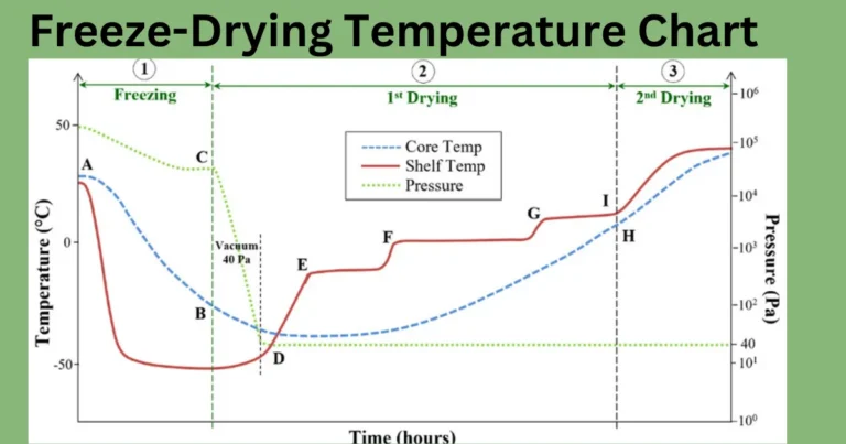 Freeze Drying Temperature Chart