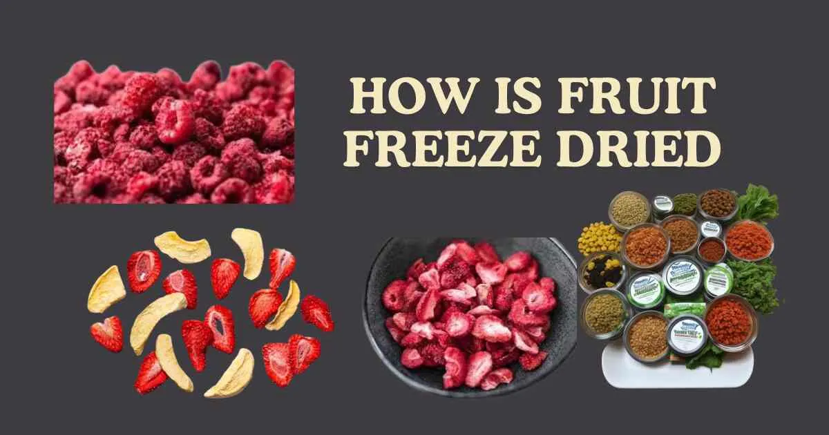 How is Fruit Freeze Dried