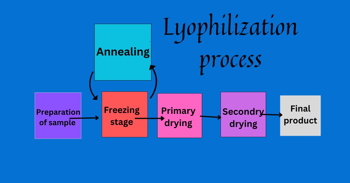 Lyophilization process