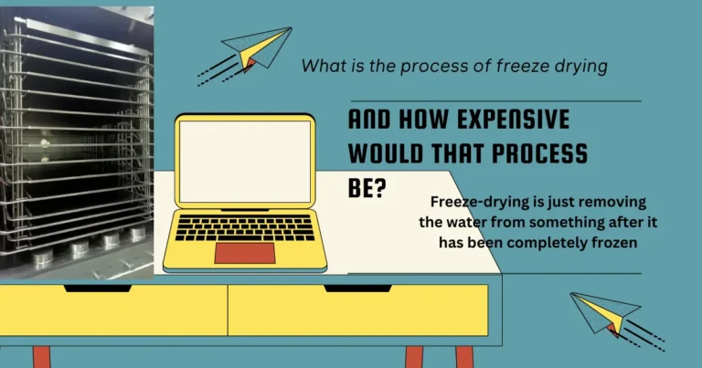 What is the process of freeze drying, and how expensive would that process be