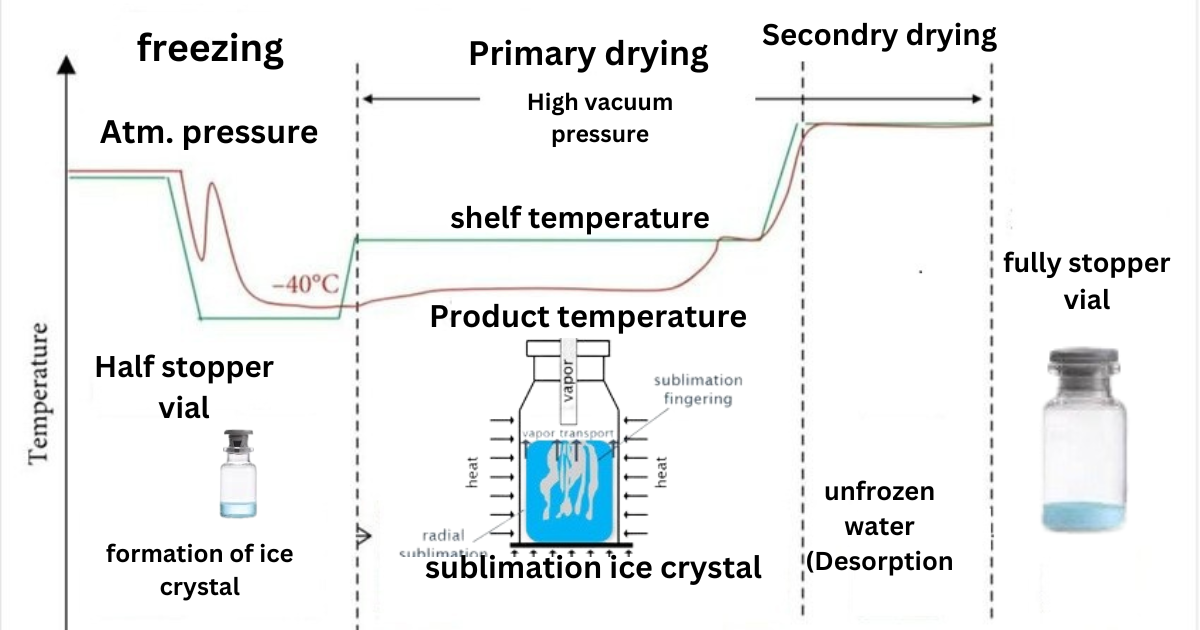 Comprehensive Freeze Drying Process Flow Chart