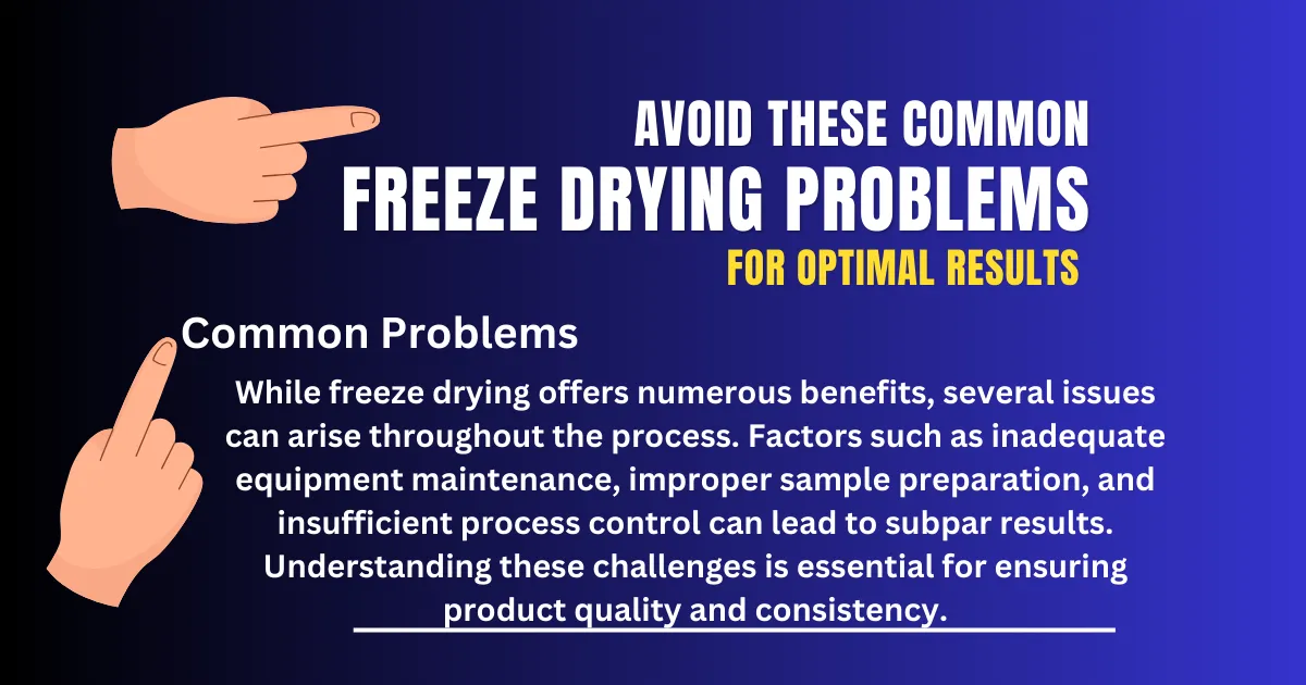 Avoid These Common Freeze Drying Problems for Optimal Results