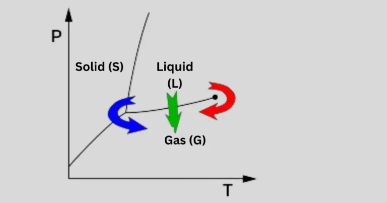 Understanding the Lyophilizer Process: A Comprehensive Guide