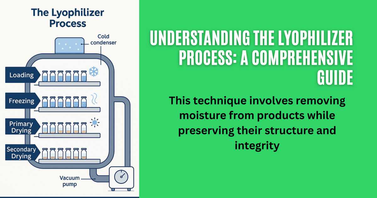 Understanding the Lyophilizer Process A Comprehensive Guide