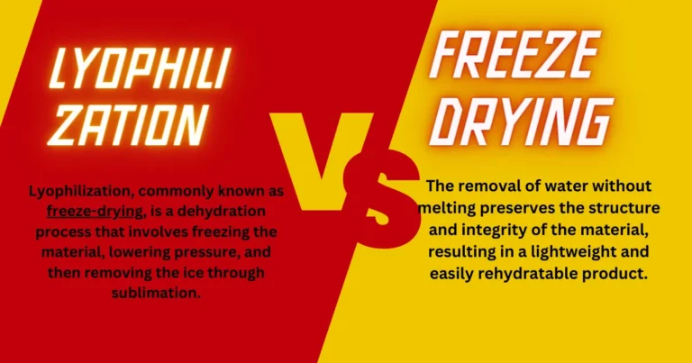 Lyophilization vs. Freeze Drying: A Quick Comparison