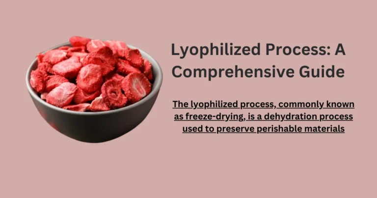 Lyophilized Process A Comprehensive Guide