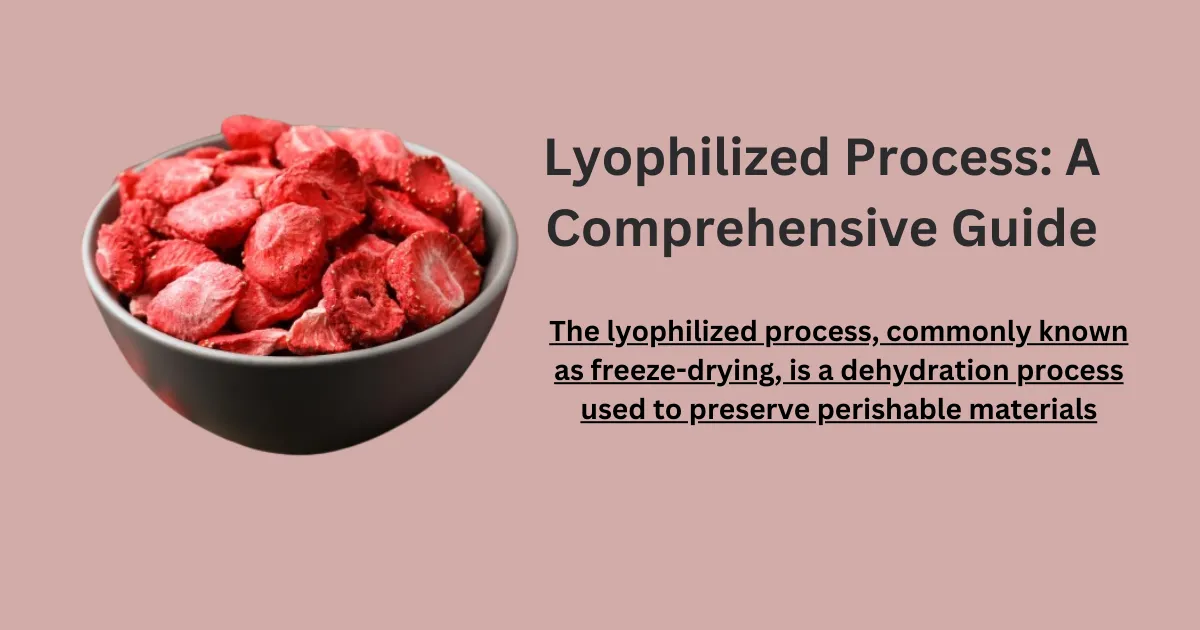 Lyophilized Process A Comprehensive Guide