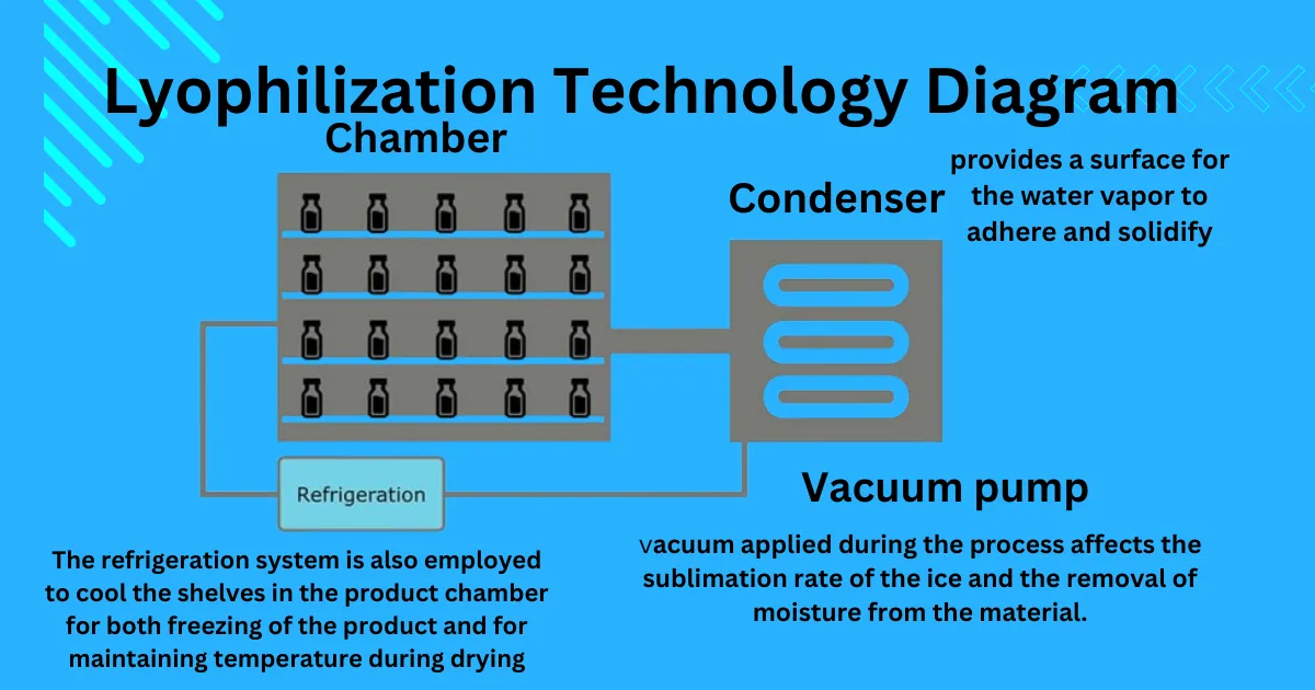 What is Lyophilization Technology