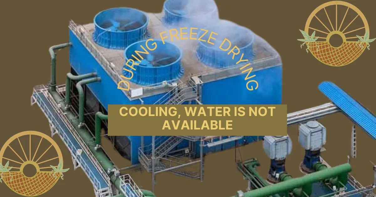 During Freeze Drying and Cooling, Water is Not Available