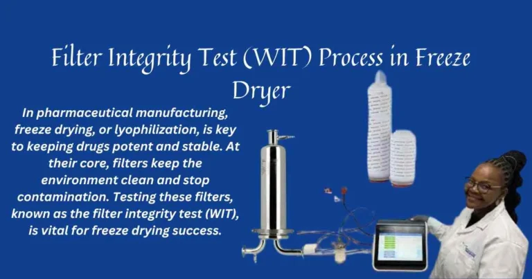 Filter Integrity Test (WIT) Process in Freeze Dryer