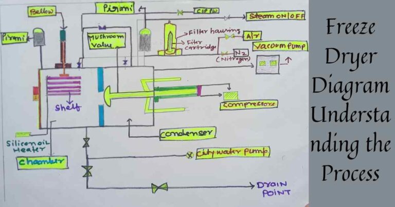 Freeze Dryer Diagram Understanding the Process