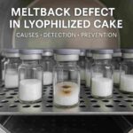 Meltback defect in lyophilized cake visible in pharmaceutical vials during freeze-drying.